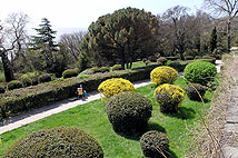 Воронцовский парк Алупка Крым http://www.gardener.ru