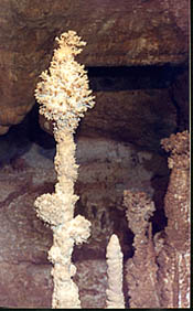 Каменные "цветы" Мраморной пещеры Крым