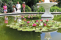 Никитский ботанический сад Ялта Крым  http://mt.crimea.com