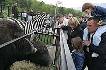 Ялтинский зоопарк http://president.gov.ua